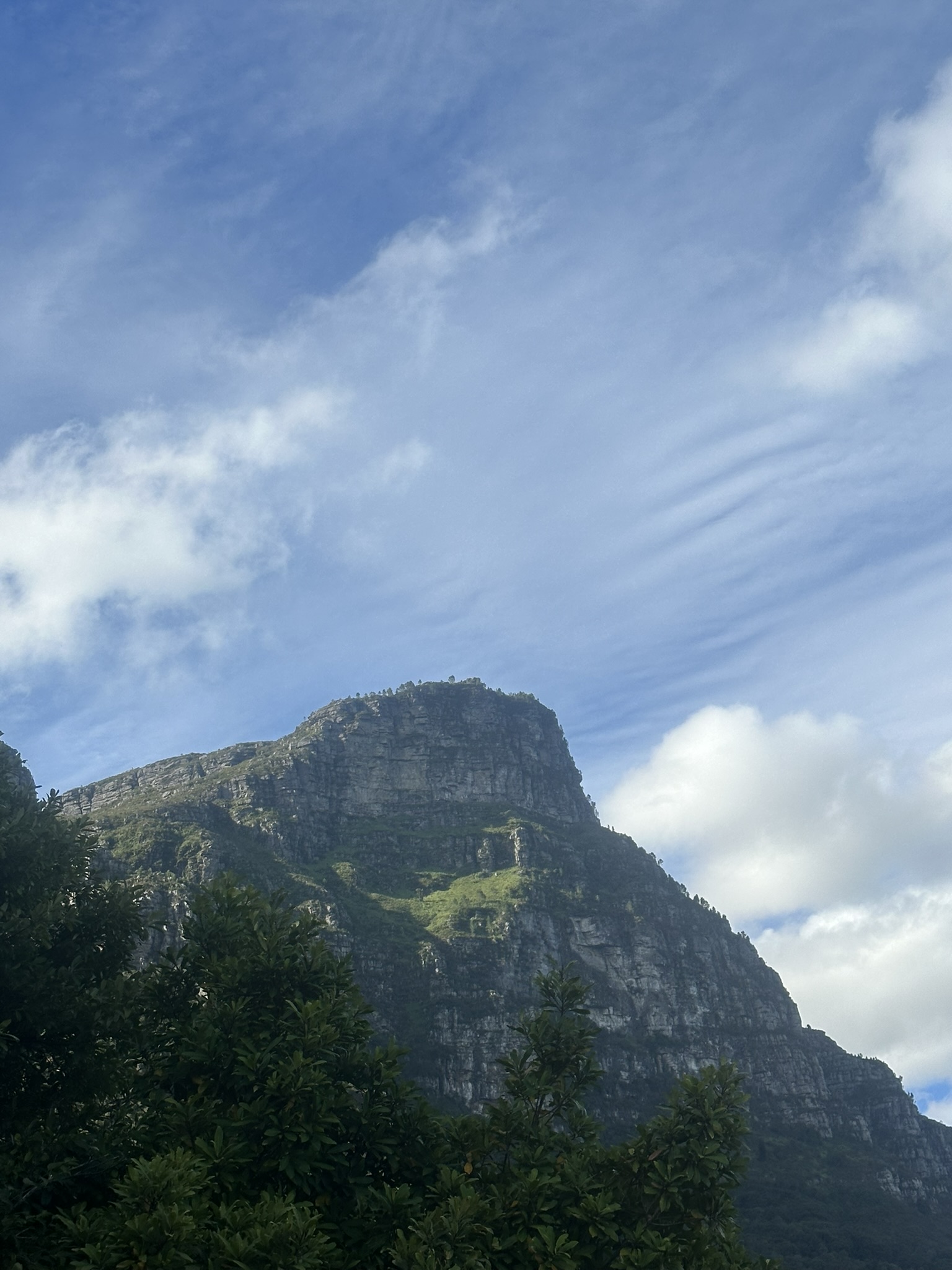 South Africa - Image 722